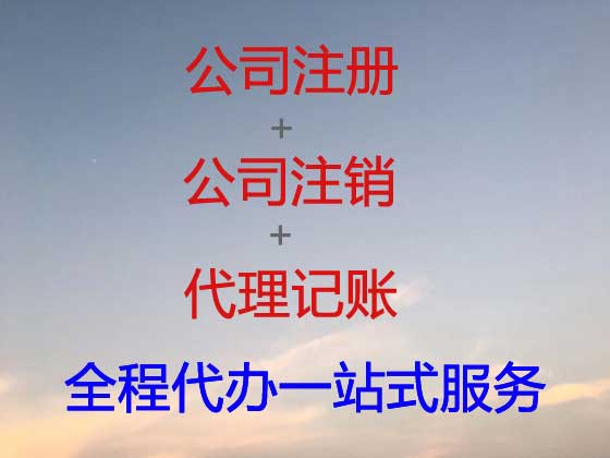 石嘴山公司个体户注册-财务代理记账